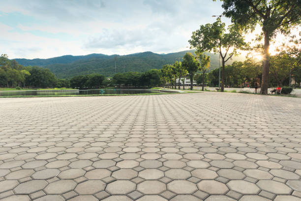 Best Residential Paver Driveway  in Falmouth, VA